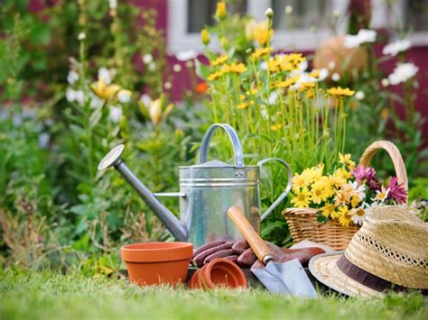 Garden To-Do List – May Gardening Tasks For The Northeast