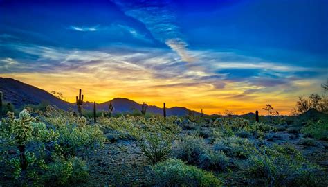 4 Tips for Photographing Desert Landscapes - The Luckys North Scottsdale North Scottsdale Real ...