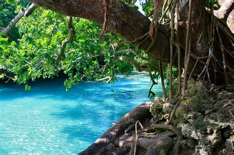 The blue hole in Vanuatu - This is really how it looks! | Places to go, Island nations, Travel ...