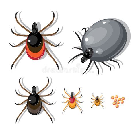 Pincers and their stages stock vector. Illustration of heat - 116644566