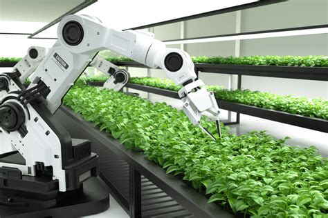 How AI is Transforming the Agriculture Industry | Mindy Support Outsourcing