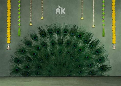 Fabric Baby Backdrop - Peacock Feather