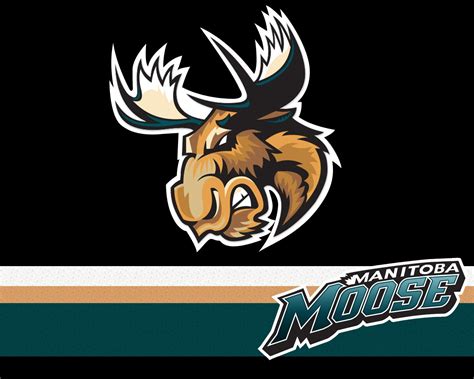 Observations, Reservations, Conversations: Manitoba Moose Game Today