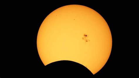 Observing the partial solar eclipse - Trevor O'Donoghue