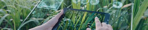 Sustainable Agriculture Research Solutions | PerkinElmer