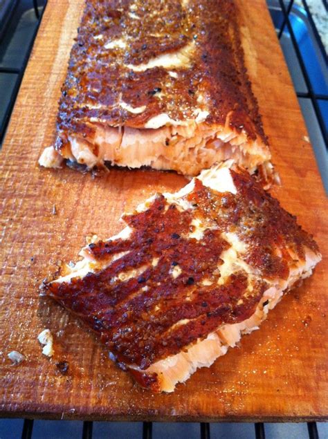 Smoked Salmon Recipe For Masterbuilt Electric Smoker | Besto Blog