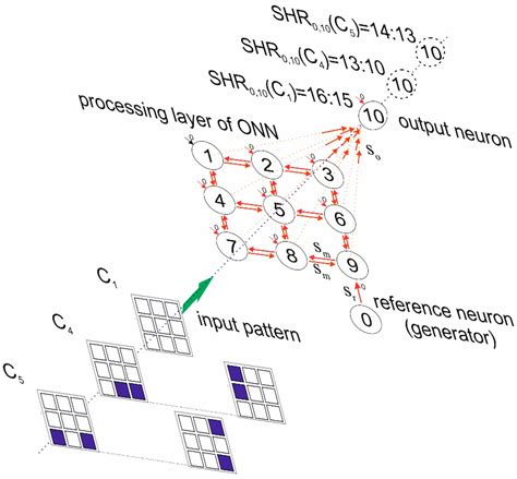 Electronics | Free Full-Text | A Model of an Oscillatory Neural Network with Multilevel Neurons ...