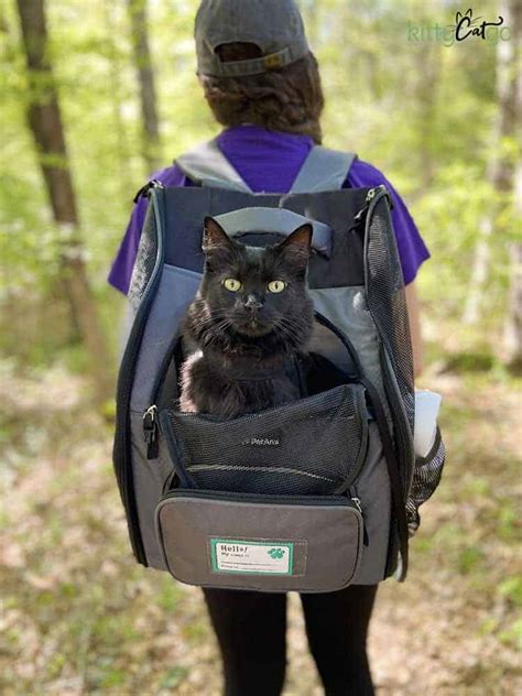 The Cat Backpack Carrier Ultimate Guide • KittyCatGO