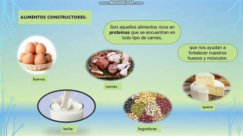 Clasificación de los alimentos según su función - YouTube