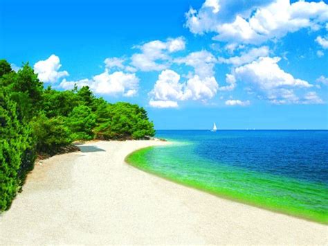 Beach Kanegra (b) - Umag (Istria - Umag) - Uniline Croatia | Croatia beach, Croatia holiday, Croatia