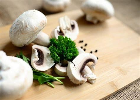 Mushroom Farming - Everything You Have to Know About it