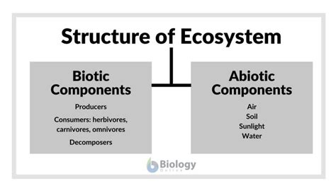 Biotic factor - Definition and Examples - Biology Online Dictionary