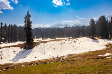 Doodhpathri in Kashmir | Things You Should Know Before A Visit To The "Valley Of Milk." - My ...