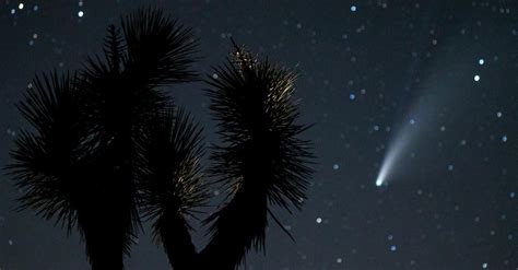 When Will Comet Leonard Be Visible? Prepare to Stargaze This Month