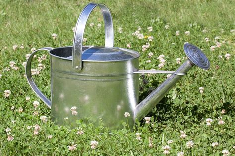 Free Images : grass, lawn, meadow, tool, summer, green, vessel, metal ...