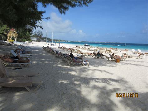 A view of the beach at Sandals Barbados. | Barbados, Sandals barbados ...