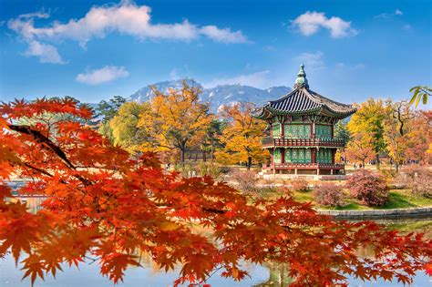 Gyeongbokgung Palace and Soft focus of Maple tree in autum… | Flickr