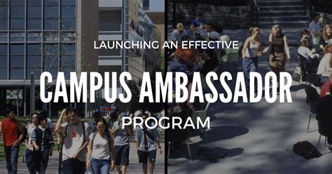 Launching An Effective Campus Ambassador Program - Infogrpahic