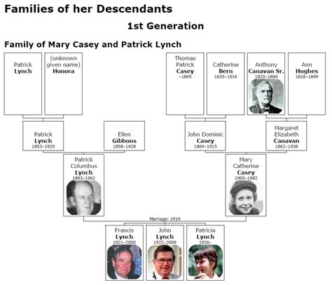 Meyer Family Tree - William J. Bowe