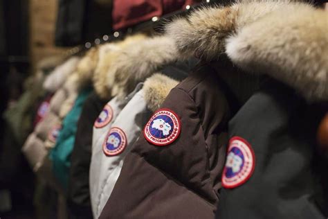 Moncler vs Canada Goose Jackets - Which Brand is Better? - All Outdoors ...