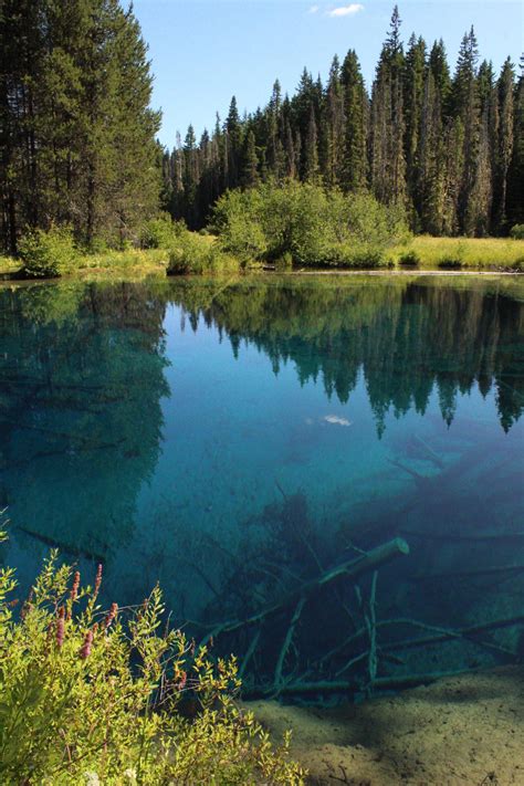 The clear blue water of this lake was incredible. Little Crater Lake, Oregon, USA : r/hiking