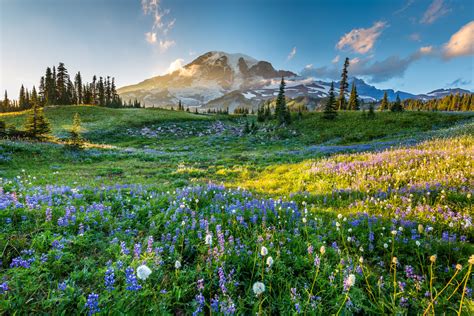 Cascade Range