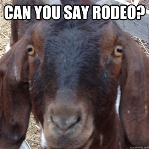 Goat rodeo memes | quickmeme