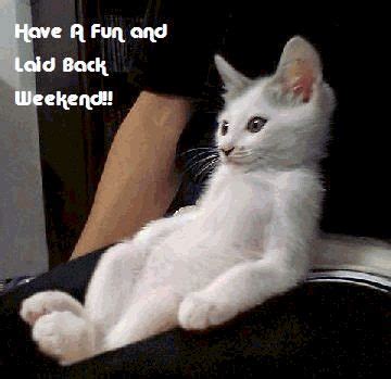 Funny things to post: Cat at its weekend...