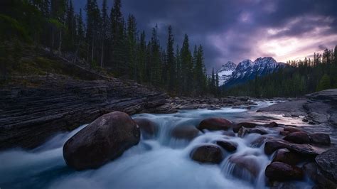 Water Stream Between Stones With Background Of Trees Snow Covered ...