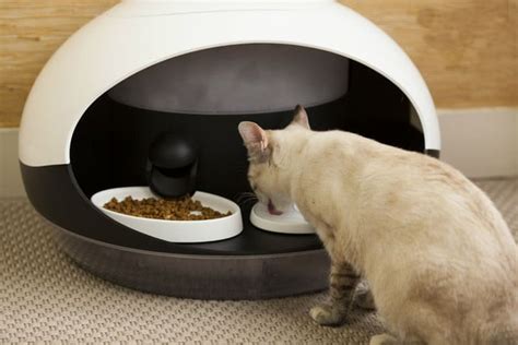 CES 2018: Catspad pet Feeder Schedules Your Feline’s Meals Remotely