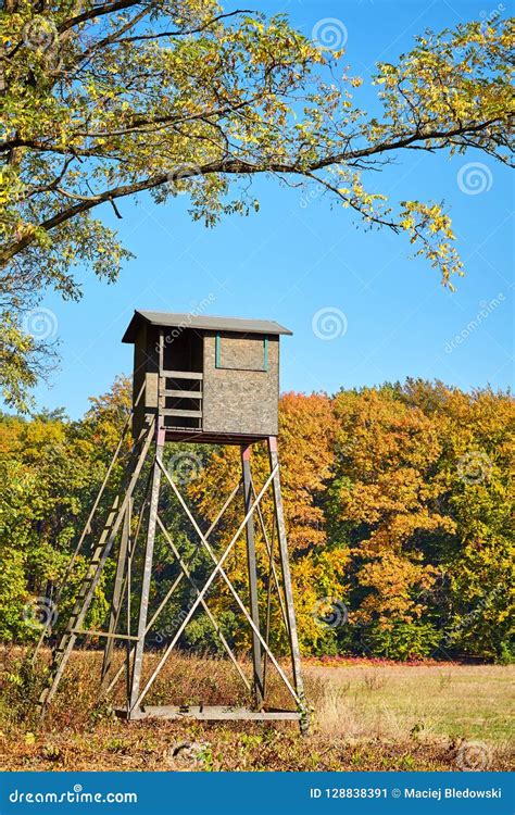 Wooden Elevated Deer Hunting Blind. Stock Image - Image of season, nature: 128838391