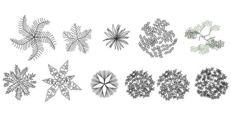 Free Download CAD Blocks Of Tree Plant - Cadbull