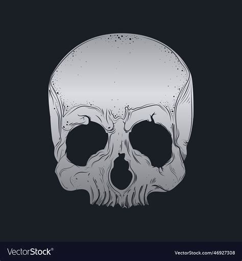 Skull and bones design Royalty Free Vector Image