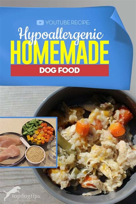 Hypoallergenic Homemade Dog Food Recipe (Video Instructions)