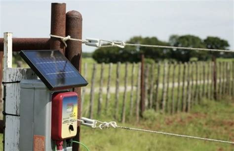 6 BEST Electric Fence Charger for Cattle (Tested)