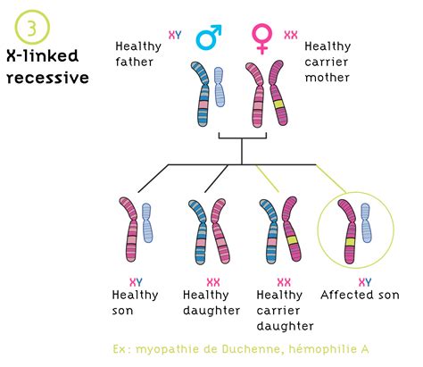 Genetic diseases > Institut Des Biothérapies