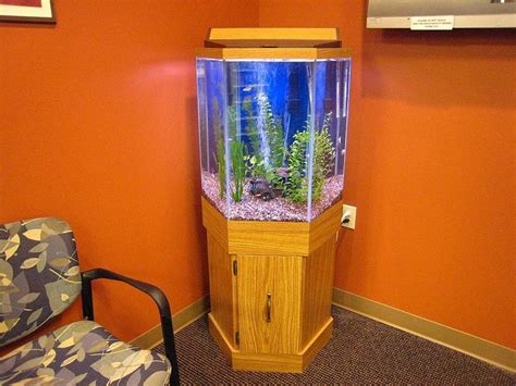 What Is A Hexagonal Fish Tank? | Is It Recommended? - Your Aquarium Place