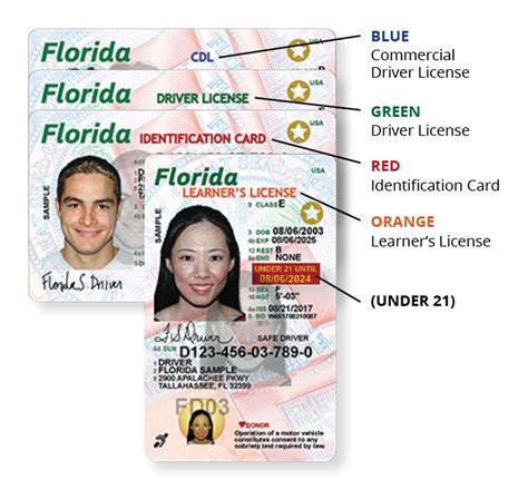 As Puerto Rico evacuees get new Florida licenses, there’s a catch ...