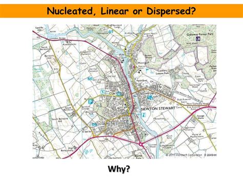 What Does A Nucleated Settlement Pattern Mean