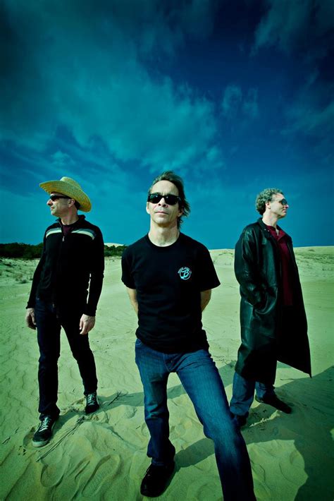 Tim Reynolds TR3 | The Public