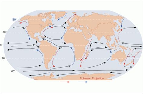 World Ocean Currents Diagram | Quizlet