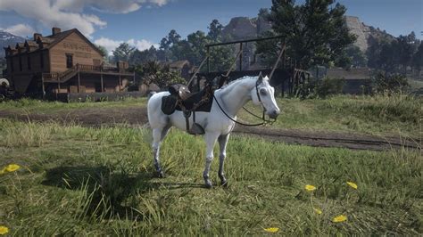 Red dead redemption 2 horses - rilochoices