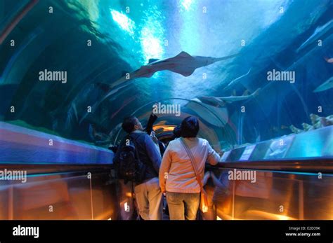 China Hong Kong Ocean Park amusement park aquarium underwater tunnel ...