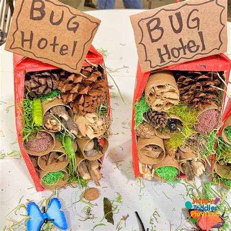 How to Make a Bug Hotel Craft: Fun Craft for Kids - Happy Toddler ...