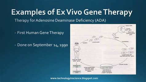 Vectors for Gene Therapy - YouTube