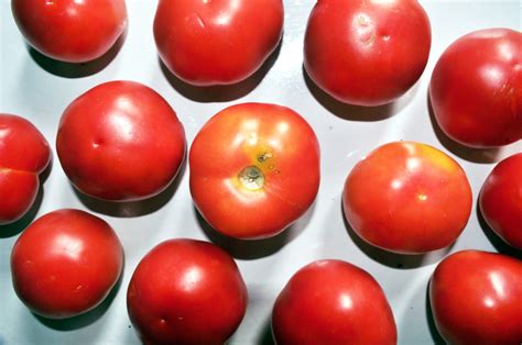 Red Round Tomatoes Free Stock Photo - Public Domain Pictures