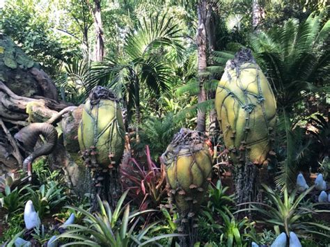 Integrating Plants and Animals into Pandora – The World of AVATAR