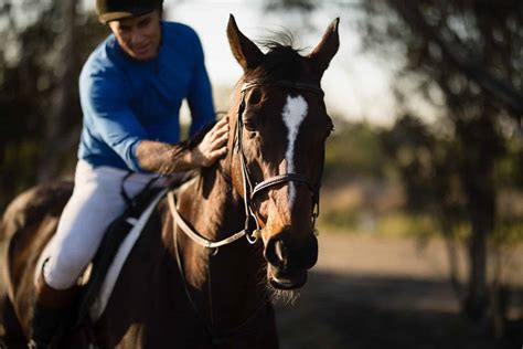 15 Important Ground Rules For Horse Safety