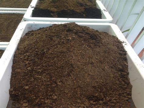 How to make clean vegetable soil to help vegetables grow green