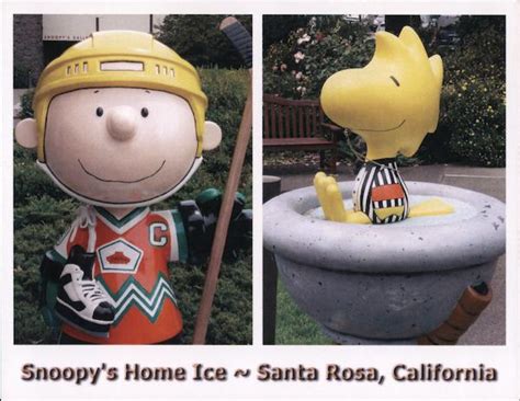 Snoopy's Home Ice Santa Rosa, CA Postcard